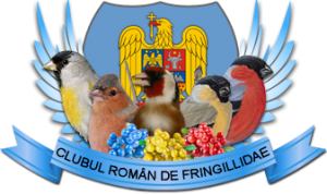 Clubul Roman de Fringillidae 